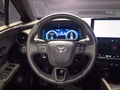 Daumennagel 10 - Toyota C-HR Plug-In Hybrid FWD Team Deutschland/1 HAND