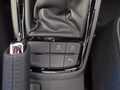 Daumennagel 23 - Skoda Kamiq Monte Carlo 1,5TSI DSG 5*J.Gar/Kessy/Matrix/Winterp/Kamera