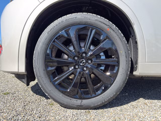 Mazda CX-60 3.3L D 254ps 8AT AWD Homura Plus - 2026 - foto 13