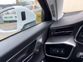 Daumennagel 22 - Audi A6 Avant 35 TDI Sport 2.0 Asist Sitzh Kam 4xKlim