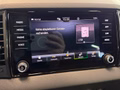 Daumennagel 19 - Skoda Karoq Sportline 1.5 TSI DSG AHK KAMERA MATRIX