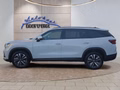 Daumennagel 3 - Skoda Kodiaq 2,0TDI DSG 7-Sitzer/Matrix/Navi/ACC/el.Klappe/Kamera  **