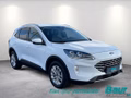 Daumennagel 2 - Ford Kuga 2.5 Duratec PHEV TITANIUM X Winter-Paket
