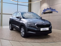 Daumennagel 7 - Skoda Karoq 2,0TDI DSG 4x4 Navi/LED/Kamera/ACC/Winterp.