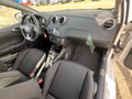 Daumennagel 21 - SEAT Ibiza FR KLIMA|SHZ|TEMP|PANO|PDC