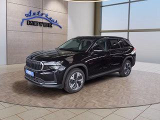 Skoda Kodiaq age.one-day registration Kaufen