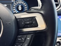 Daumennagel 22 - Ford Mustang Mach 1 MagneRide StylingPaket