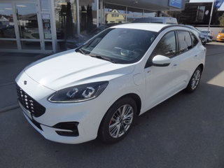Ford Kuga Gebrauchtwagen Kaufen