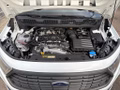 Daumennagel 15 - Ford Transit Connect L1 FWD Trend (V761/SKN)