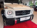 Daumennagel 9 - Mercedes-Benz G 63 AMG PANO/AHK/H&K