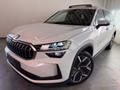 Daumennagel 1 - Skoda Kodiaq 2.0 TDI 4x4 Selection 7 SITZE LEDER PANO