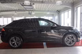 Daumennagel 8 - Audi Q8 50 TDI quattro S-LINE