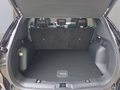 Daumennagel 17 - Ford Kuga ST-Line X 2,5 PHEV 20*Alu/AHK/Pano/Matrix/el.Klappe  **