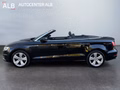 Daumennagel 3 - Audi A3 Ambition Cabriolet/AUTOMATIK/XENON/2.HAND/EURO.6/