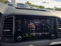 Daumennagel 48 - Skoda Karoq 1,5TSI DSG aAHK/ACC/Kamera/Winterp.