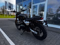 Daumennagel 6 - Triumph Scrambler 900 MY26 Sofort Verfügbar!