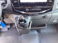 Daumennagel 13 - Ford Transit 350 L4H3 Lkw HA Trend Trennwand Metall
