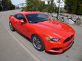 Daumennagel 3 - Ford Mustang GT Fastback aus 1. Hand