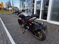 Daumennagel 8 - Triumph Trident 800 NEU! 115PS Quick-Shifter