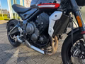Daumennagel 11 - Triumph Trident 660