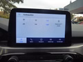 Daumennagel 20 - Ford Kuga Plug-In Hybrid Titanium