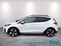 Daumennagel 3 - Ford Fiesta 1.0 EcoBoost S&S ACTIVE NAVI LED Winter