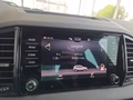 Daumennagel 38 - Skoda Karoq Sportline 1,5TSI DSG aAHK/ACC/Matrix/Navi/el.Klappe   **