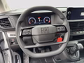 Daumennagel 10 - Fiat Scudo XL 120MT AHK+Platte+Kamera