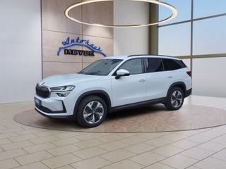 Skoda Kodiaq age.one-day registration Kaufen