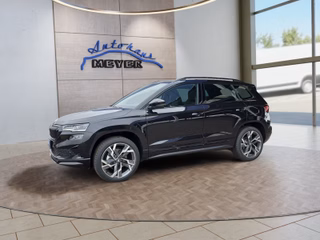 Skoda Karoq age.one-day registration Kaufen