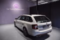 Daumennagel 5 - Skoda Octavia Combi RS/1 HAND/PANO