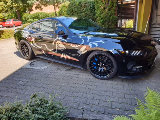 Ford Autohaus Melchinger in Wolfschlugen