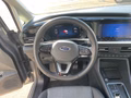 Daumennagel 9 - Ford Tourneo Connect PHEV Active