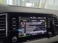 Daumennagel 45 - Skoda Karoq 1,5TSI DSG 4*J.Gar/aAHK/Kamera/Kessy/Winterp.  **
