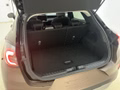 Daumennagel 4 - Ford Puma Titanium + Fahrerassistenz + Winter-Paket