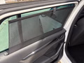 Daumennagel 19 - Skoda Octavia Combi RS Plus 4x4 ACC AHK Standheizung