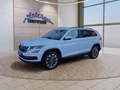 Daumennagel 1 - Skoda Kodiaq 1.5TSI DSG 19*Alu/LED/Navi/ACC/el.Klappe
