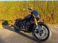 Daumennagel 3 - Indian Scout 101 Limited + Tech MY 2026 Jekill & Hyde