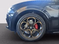 Daumennagel 14 - Alfa Romeo Stelvio Veloce Q4