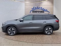 Daumennagel 2 - Skoda Kodiaq 1,5TSI DSG aAHK/7-Sitzer/Navi/ACC/el.Klappe  **