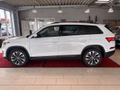 Daumennagel 2 - Skoda Kodiaq Tour  AHK/CAR-PLAY