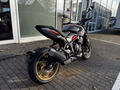 Daumennagel 4 - Triumph Trident 800 NEU! 115PS Quick-Shifter