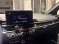 Daumennagel 22 - Audi S4 Avant 3.0 TDI quattro B&O/AHK/MATRIX