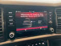 Daumennagel 17 - Skoda Kodiaq Sportline 4x4 2.0 TDI DSG AHK StHz 20"