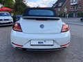 Daumennagel 12 - Volkswagen Beetle Cabriolet Design Start-Stopp Navi Apple CarPlay 19 Zoll