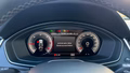 Daumennagel 19 - Audi Q5 50 TDI quattro S line