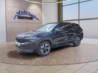 Skoda Kodiaq age.one-day registration Kaufen