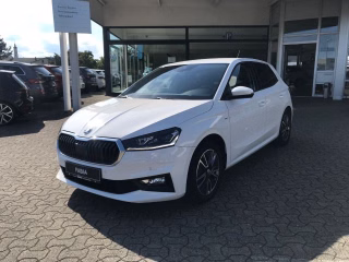 Skoda Fabia 1.0 TSI Tour, LED, PDC, Navi, Kamera, ACC, ...