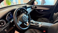Daumennagel 13 - Mercedes-Benz GLC 220 d 4Matic Off-Road-Styling-Paket