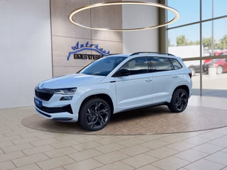 Skoda Karoq age.one-day registration Kaufen